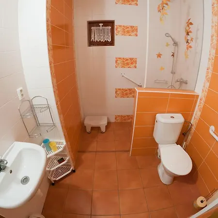 Penzion Svata Trojice Trhove Sviny Room photo